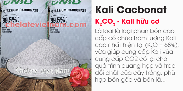 Kali Cacbonat (K2CO3 - Kali hữu cơ) K2O = 68%